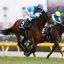 【東京新聞杯 2018】血統分析｜血統から買いたい馬はこの馬！！