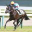 【春菜賞 2018】回顧｜またしてもシルクの馬アルモニカが勝利！！