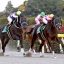 【フェブラリーステークス 2018】サイン予想｜サインから今年も過去の実績馬を狙え！！