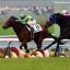 【ゆきやなぎ賞 2018】回顧｜他の馬と完成度とエンジンが違ったサトノワルキューレが勝利！！