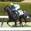 【新馬戦 2018】Load to クラシック｜圧巻の逃亡劇でマグナレガーロが勝利！！
