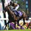【競馬談義】種付けシーズン到来！！キタサンブラックの初年度種付け料は500万円！！【No.48】