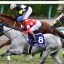 【高松宮記念 2018】予想家5人が真剣勝負！軸馬を発表！！
