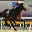 【毎日杯 2018】回顧｜ブラストワンピースが強烈な勝利で皐月賞に間に合わせた！！
