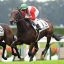 【アザレア賞 2018】回顧｜スーパーフェザー反応良く豪快な差し切り勝ち！！