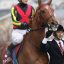 【桜花賞 2018】サイン予想|ラッキーライラックから的中も!? 【桜花賞 2018】サイン予想|ラッキーライラックから的中も!?