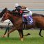 【天皇賞春 2018】サイン予想｜2年ぶりの実績馬が出すサインとは！？