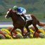 【天皇賞春 2018】予想家5人が真剣勝負！軸馬を発表！！