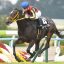 【オークス(優駿牝馬) 2018】サイン予想｜今年も使える！？桜花賞3着馬のサイン！！