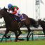 【日本ダービー(東京優駿) 2018】サイン予想｜2冠あるか！？皐月賞馬エポカドーロ！！