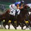 【新馬戦 2018】6月9日東京5R｜10番人気のレノーアが強烈な末脚を披露！！