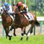 【新馬戦 2018】6月9日阪神5R｜1番人気アウィルアウェイ出遅れも問題なしの快勝！！