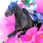 【宝塚記念2018】５年連続、牝馬が馬券入り！今年の筆頭はヴィブロスか！？