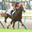 【中京記念 2018】サイン予想｜3歳とサマーシリーズのサインが浮上！！