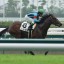 【小倉2歳Ｓ 2015】シュウジと岩田「ノリノリコンビ」に注目！オウケンダイヤも虎視眈々！