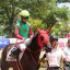 【新馬戦 2018-2019】回顧｜ブルベアオーロが鮮やかな先行抜け出しで勝利！！
