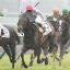 【競馬新馬】9月29日メイクデビュー阪神・ゴータイミング激戦制す！！