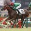 【競馬新馬】9月29日・メイクデビュー中山・人気馬総崩れ！！オトナノジジョウ逃げ切りＶ！！