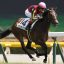 【サウジアラビアロイヤルカップ 2018】回顧｜出遅れも圧勝グランアレグリア！！クラシック候補の1頭に！！