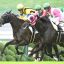 【競馬新馬戦】10月6日メイクデビュー京都｜ランブリングアレー接戦制す！！