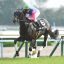 【菊花賞2018】サイン予想｜メイショウテッコンからのサインに注目！！