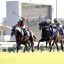 【菊花賞 2018】的中報告｜予想家4人が真剣勝負！先週は１名が的中！！