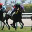 【京王杯2歳ステークス 2018】回顧|大激戦をファンタジストが制す!! 【京王杯2歳ステークス 2018】回顧|大激戦をファンタジストが制す!!