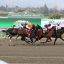 【競馬談義】競馬で八百長は存在するのか！？【No.70】