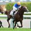 【競馬談義】2018年最優秀2歳牡馬は30票差でアドマイヤマーズ！！【No.83】