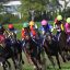 【競馬談義】JRA激震！！禁止薬物発覚で除外馬多数！！【No.87】