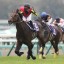 【宝塚記念 2015】クラシック馬同士の激突 トーホウジャッカルが牙をむく