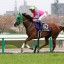 【オールカマー 2015】ヌーヴォレコルトに立ちはだかる穴馬を事前予想！