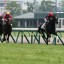 【紫菊賞】「シルバーステート」強い！次走は東京スポーツ杯2歳Sへ！