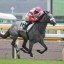 【富士ステークス 2015】2歳王者ダノンプラチナ登場！穴馬を事前予想！