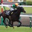 【菊花賞 2015】人気馬リアファルに黄色信号？危険な馬を事前予想！
