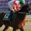 【マイルCS 2015】ダノンシャークはまだ買えるのか？穴馬を事前予想！