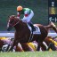 【京都2歳S】豊マジック炸裂！ドレッドノータス完勝！武豊はどの馬を選ぶ？