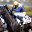 【チャレンジカップ 2015】フルーキー初重賞制覇へ王手？穴馬を事前予想！