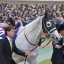 【有馬記念 2015】ゴールドシップは内田博幸騎手で期待度アップ！データ分析！