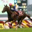 【朝日杯フューチュリティステークス 2015】武豊とエアスピネル！G1全制覇へ【血統】