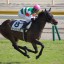 【有馬記念 2015】大器ルージュバックが動き出す！穴馬を事前予想！！