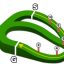 中山競馬場|中山芝1200m（外）コース分析！主なレース【スプリンターズS】