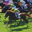 【ラジオNIKKEI賞 2015】アンビシャス快勝の裏で超良血馬アッシュゴールドの行く末は・・・