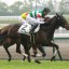 【新馬戦】兄フラガラッハの弟エスティタート！！1番人気武豊で快勝！！