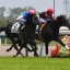 【新馬戦】アドマイヤリード豪快に差し切る！！ハープスター級の器！！