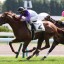 【きさらぎ賞　2016】キャリア豊富なジョルジュサンクが逃げ粘る！おすすめ馬！