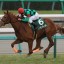 【クイーンカップ 2016】女王に挑戦する素質馬ビービーバーレル！穴馬を事前予想！！