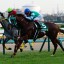 【京都記念 2016】昨年勝ち馬と同じ父を持つヤマカツエースが飛躍を誓う!穴馬を事前予想!! 【京都記念 2016】昨年勝ち馬と同じ父を持つヤマカツエースが飛躍を誓う!穴馬を事前予想!!