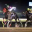 【フェブラリーステークス 2016】今年はルメール騎手×ノンコノユメが初ユメを叶えてくれる！？オススメ軸馬予想！！