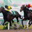【フェブラリーステークス 2016】万馬券への鍵はロワジャルダンなどの人気のない実力馬達！穴馬を事前予想！！